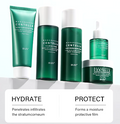 Snow Centella  Skincare Set