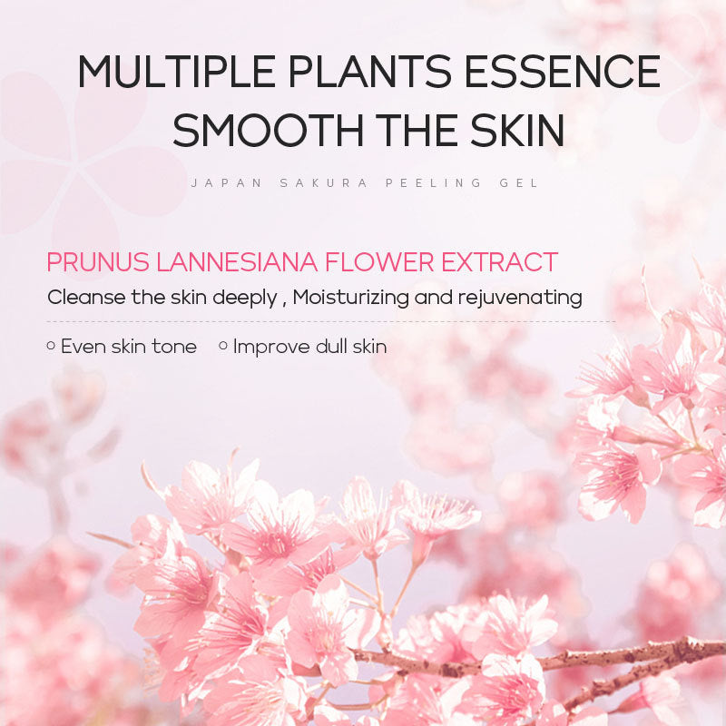 LAIKOU Cherry Blossom